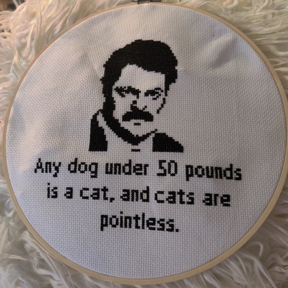 Parks and rec cross stitch